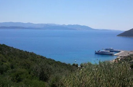 Dierennamen – reisbestemmingen , landen , zuiderse stranden